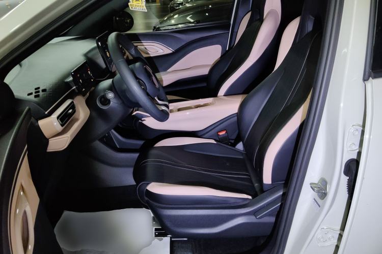 Used BYD Seagull 2023 Active Version Left Front Seat