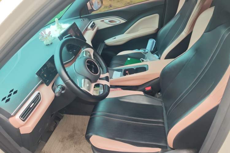 Used BYD Seagull 2023 Free Edition Left Front Seat
