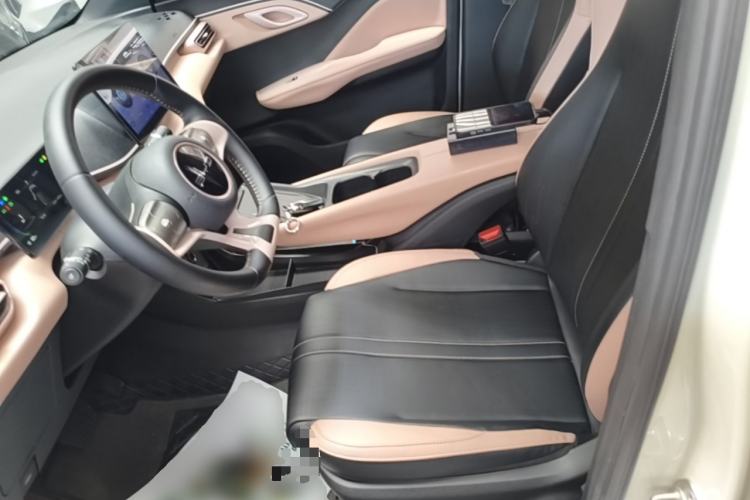 Used BYD Seagull 2023 Free Edition Left Front Seat