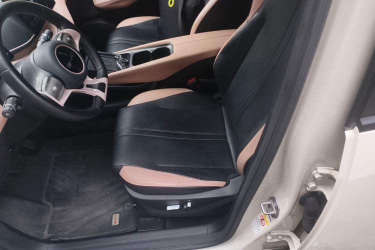 Used BYD Seagull 2023 Flying Edition Left Front Seat