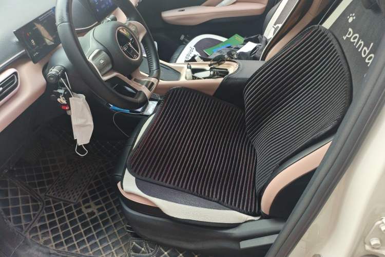 Used BYD Seagull 2023 Free Edition Left Front Seat
