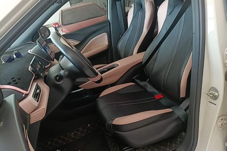 Used BYD Seagull 2023 Active Version Left Front Seat