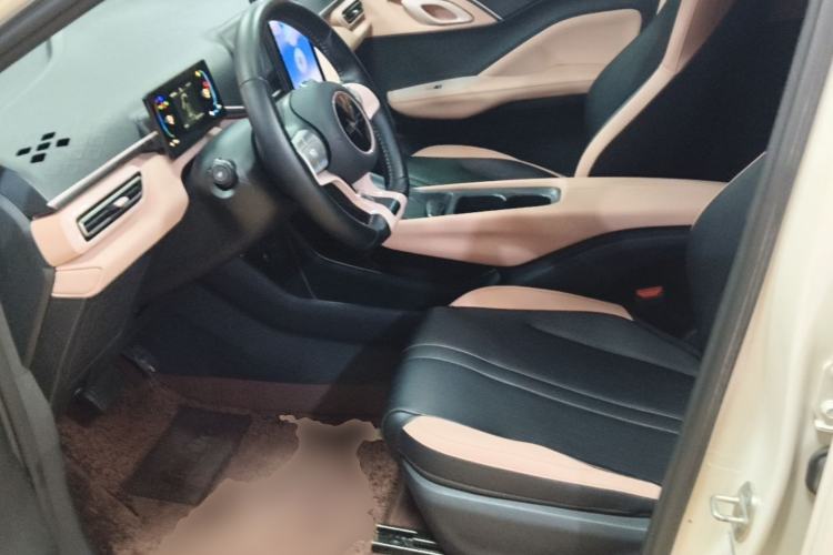 Used BYD Seagull 2023 Free Edition Left Front Seat