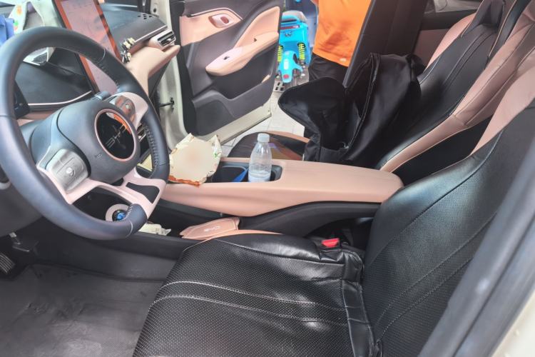 Used BYD Seagull 2023 Free Edition Left Front Seat