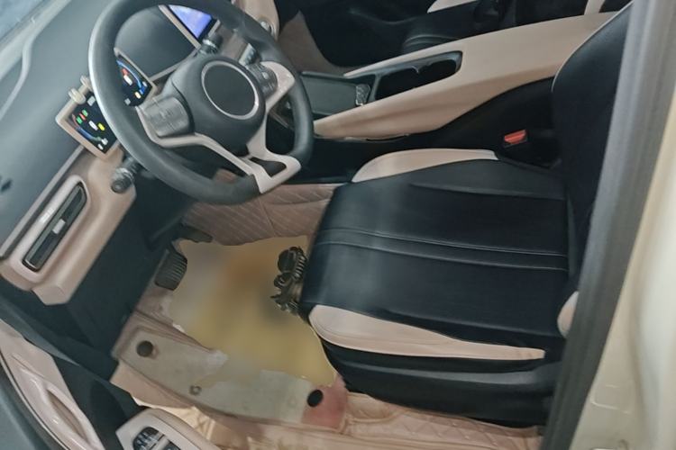 Used BYD Seagull 2023 Active Version Left Front Seat