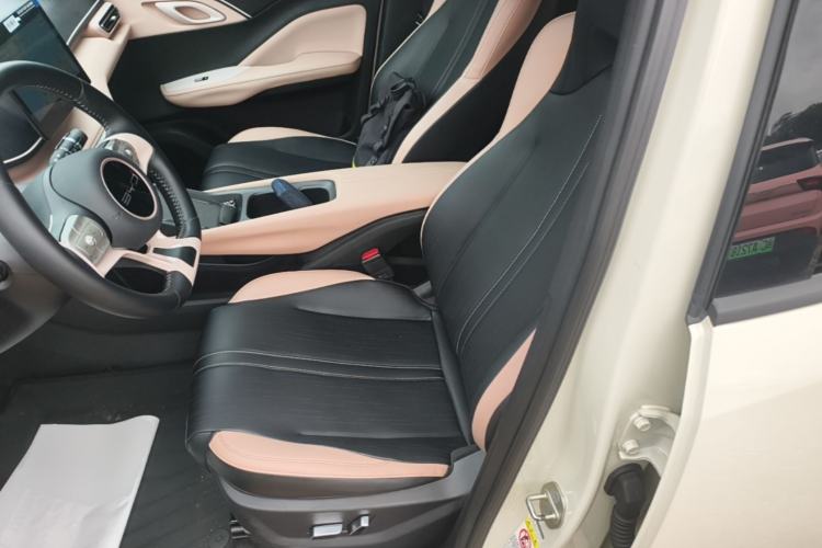 Used BYD Seagull 2023 Flying Edition Left Front Seat