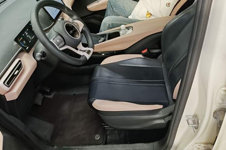 Used BYD Seagull 2023 Free Edition Left Front Seat