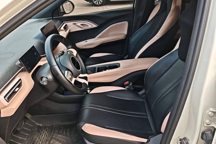 Used BYD Seagull 2023 Flying Edition Left Front Seat