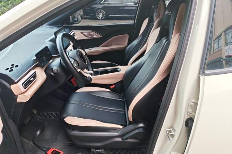 Used BYD Seagull 2023 Free Edition Left Front Seat