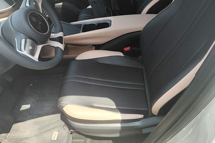 Used BYD Seagull 2023 Free Edition Left Front Seat