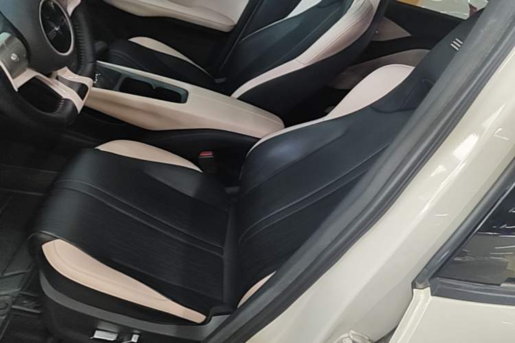 Used BYD Seagull 2023 Flying Edition Left Front Seat