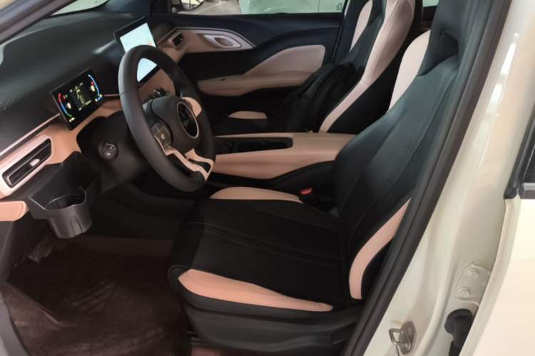 Used BYD Seagull 2023 Active Version Left Front Seat