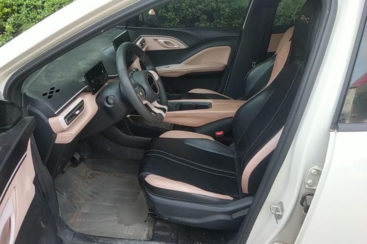 Used BYD Seagull 2023 Active Version Left Front Seat