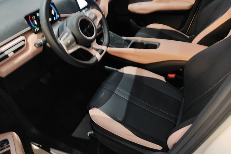 Used BYD Seagull 2023 Free Edition Left Front Seat