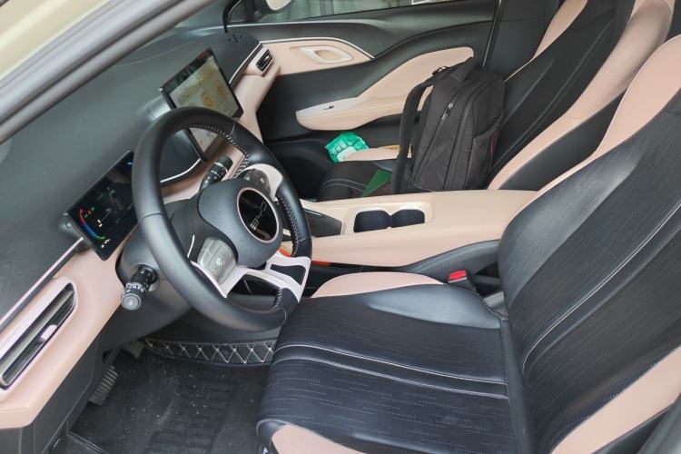 Used BYD Seagull 2023 Flying Edition Left Front Seat