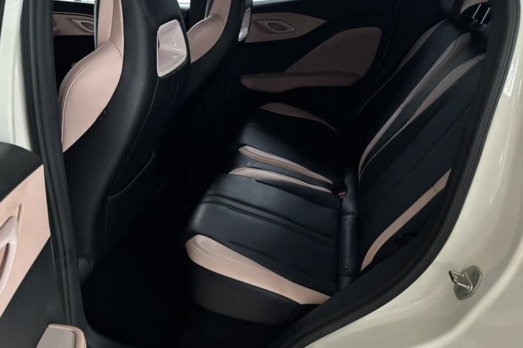 Used BYD Seagull 2023 Flying Edition Left Front Seat
