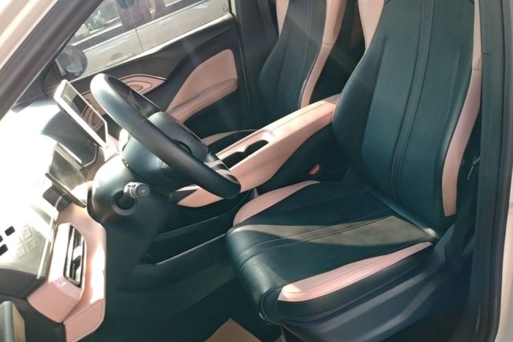 Used BYD Seagull 2023 Free Edition Left Front Seat
