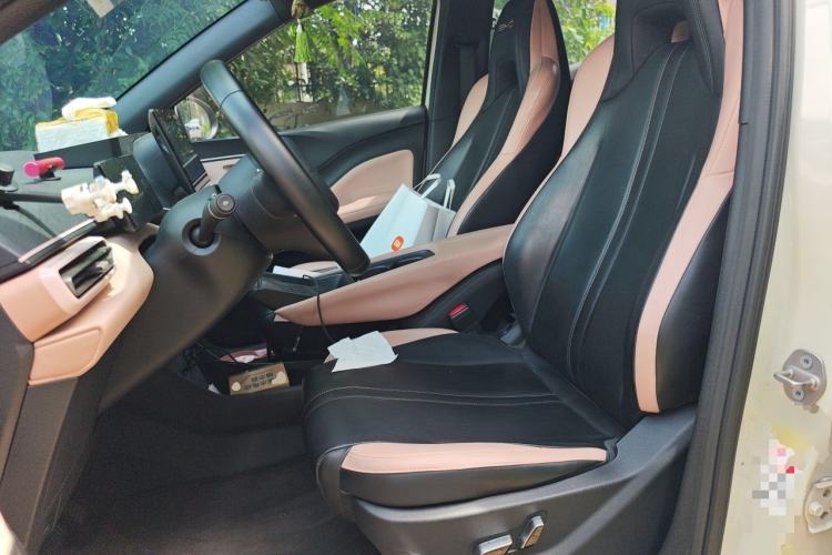 Used BYD Seagull 2023 Flying Edition Left Front Seat