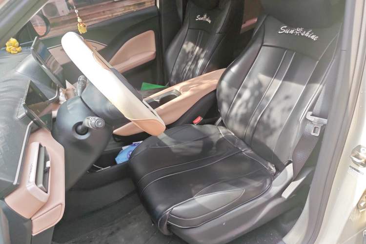 Used BYD Seagull 2023 Free Edition Left Front Seat