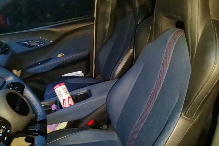 Used BYD Seagull 2023 Free Edition Left Front Seat