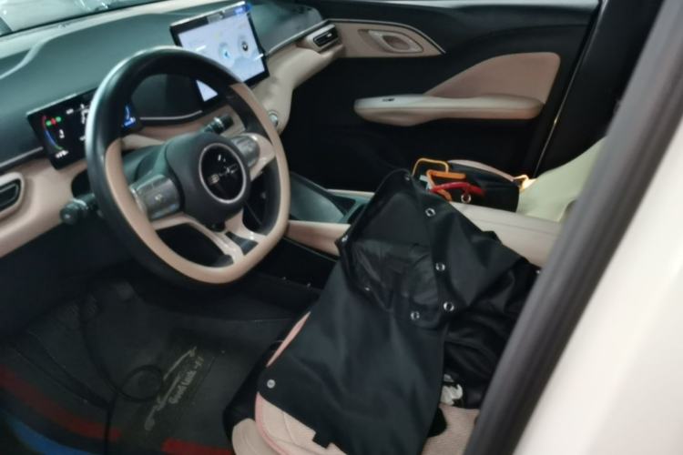 Used BYD Seagull 2023 Active Version Left Front Seat