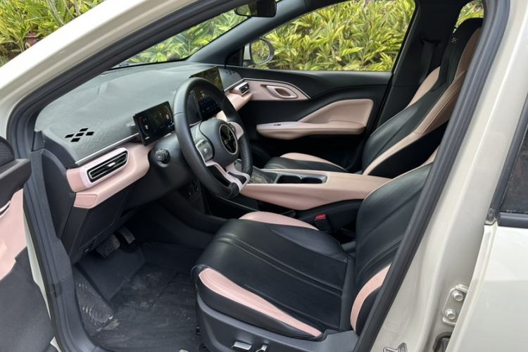 Used BYD Seagull 2023 Flying Edition Left Front Seat