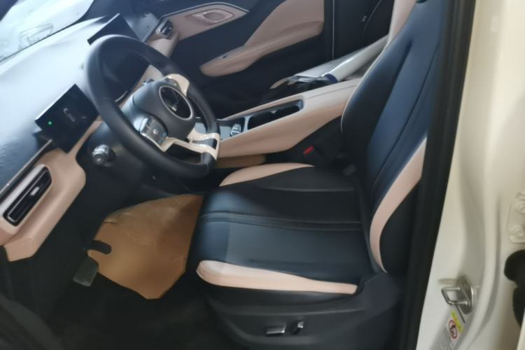 Used BYD Seagull 2023 Flying Edition Left Front Seat