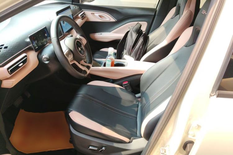 Used BYD Seagull 2023 Flying Edition Left Front Seat