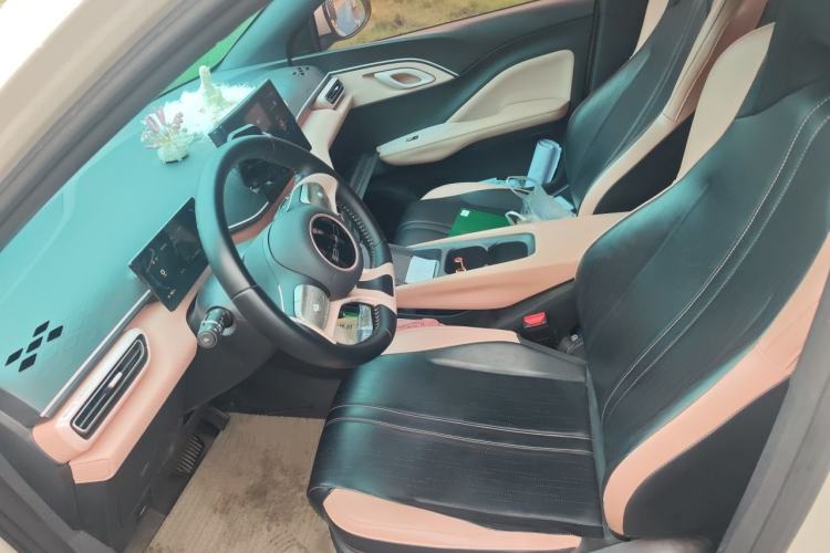 Used BYD Seagull 2023 Free Edition Left Front Seat