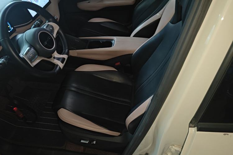 Used BYD Seagull 2023 Flying Edition Left Front Seat