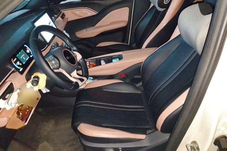Used BYD Seagull 2023 Flying Edition Left Front Seat