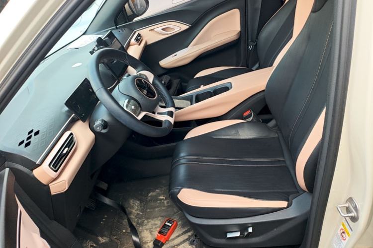 Used BYD Seagull 2023 Flying Edition Left Front Seat