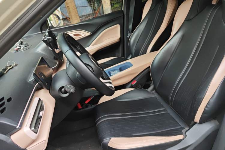Used BYD Seagull 2023 Flying Edition Left Front Seat