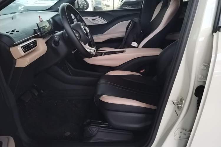 Used BYD Seagull 2023 Free Edition Left Front Seat
