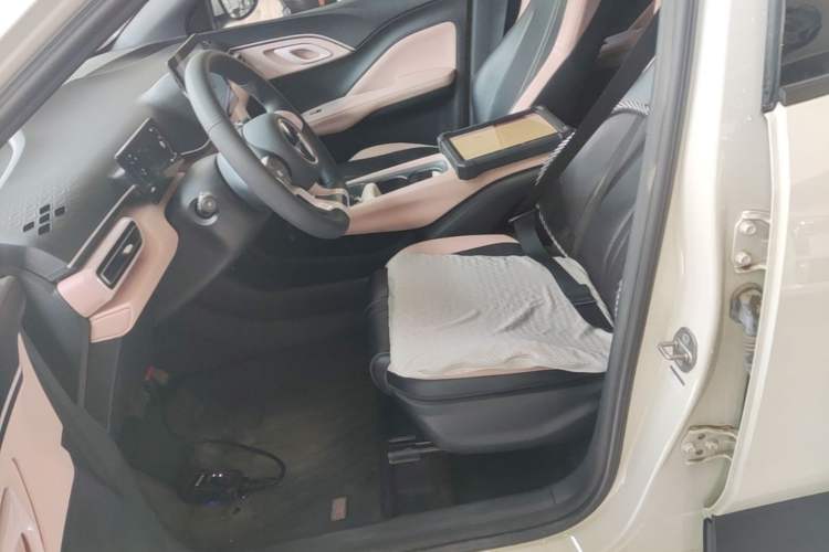Used BYD Seagull 2023 Active Version Left Front Seat