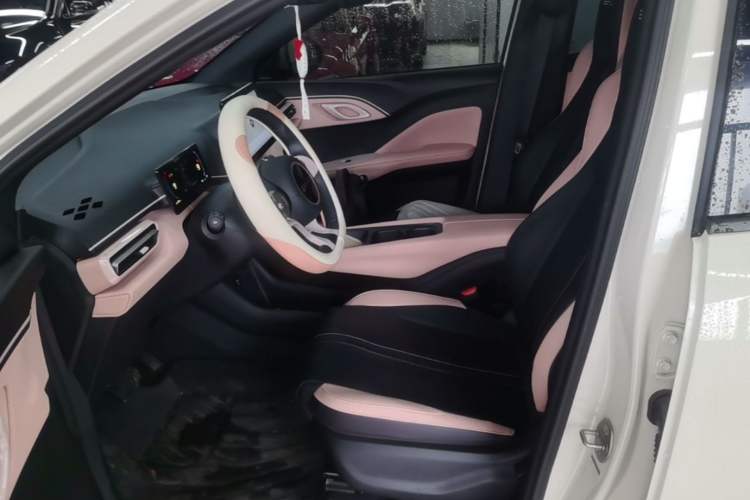 Used BYD Seagull 2023 Active Version Left Front Seat