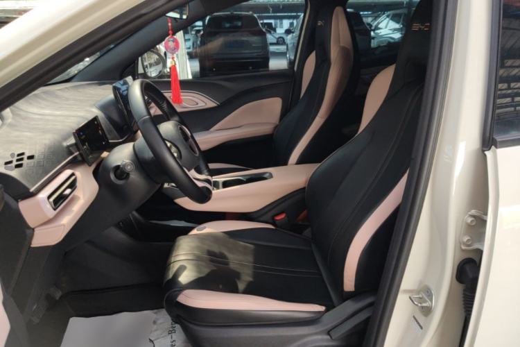 Used BYD Seagull 2023 Free Edition Left Front Seat
