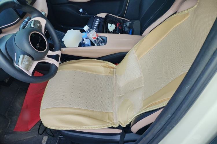 Used BYD Seagull 2023 Active Version Left Front Seat