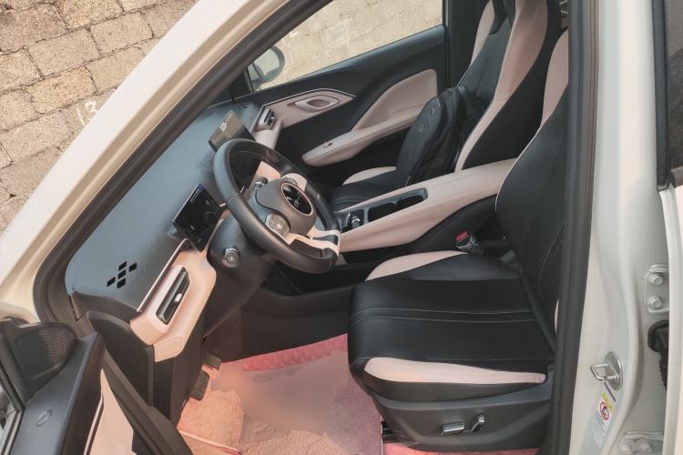 Used BYD Seagull 2023 Flying Edition Left Front Seat