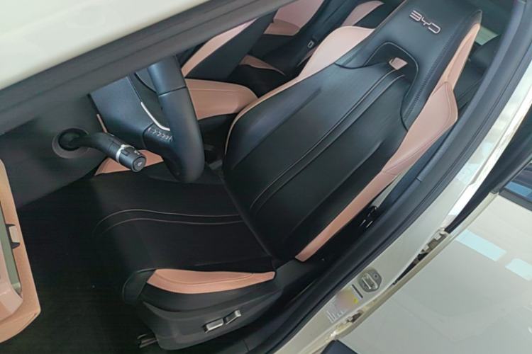 Used BYD Seagull 2023 Flying Edition Left Front Seat