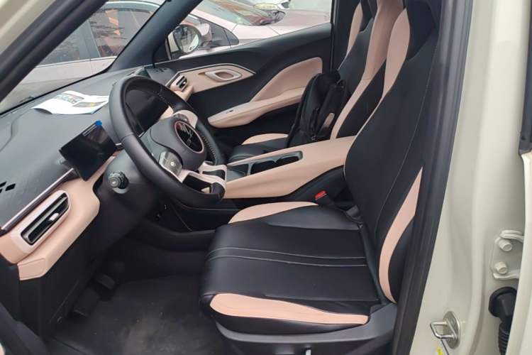Used BYD Seagull 2023 Flying Edition Left Front Seat