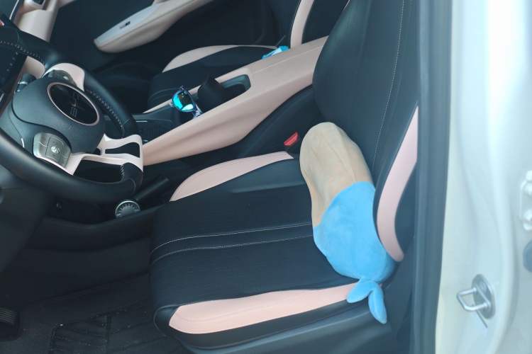 Used BYD Seagull 2023 Free Edition Left Front Seat