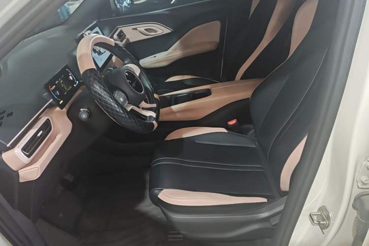 Used BYD Seagull 2023 Free Edition Left Front Seat