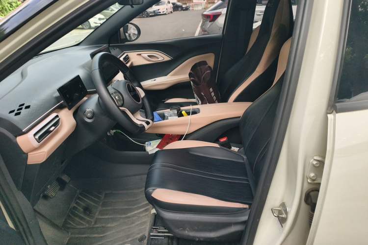 Used BYD Seagull 2023 Free Edition Left Front Seat