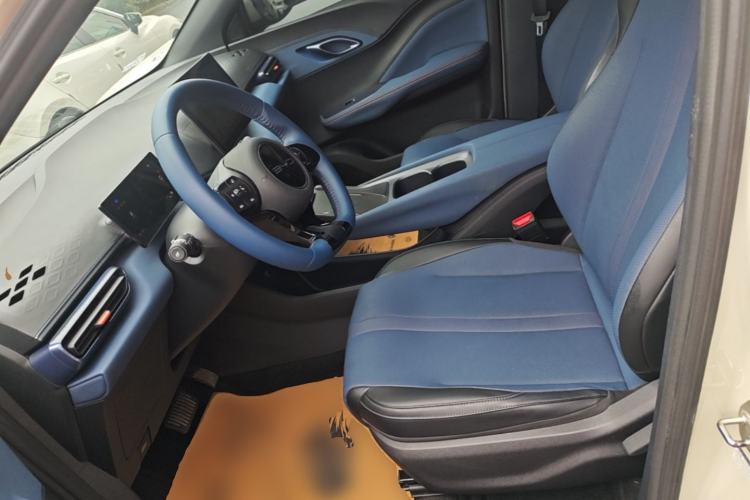 Used BYD Seagull 2023 Free Edition Left Front Seat