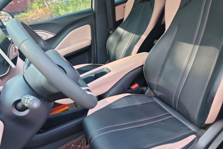 Used BYD Seagull 2023 Free Edition Left Front Seat