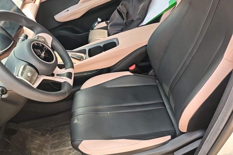 Used BYD Seagull 2023 Active Version Left Front Seat