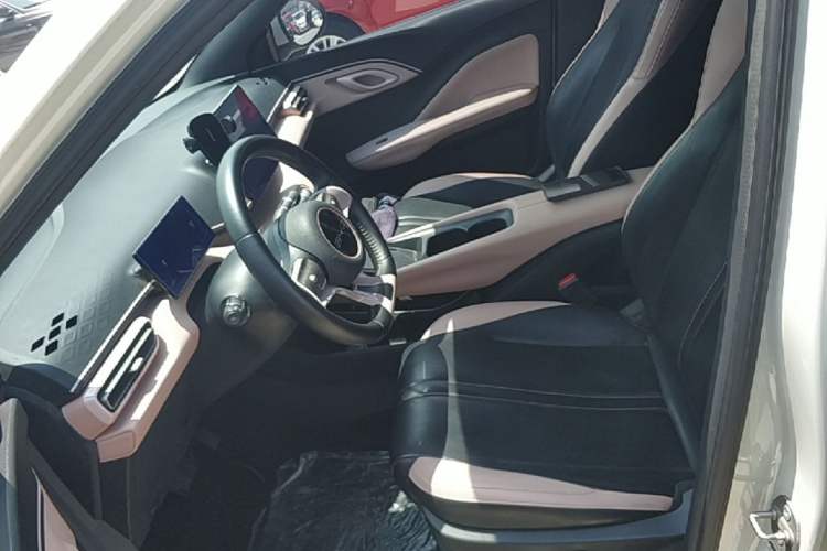 Used BYD Seagull 2023 Flying Edition Left Front Seat