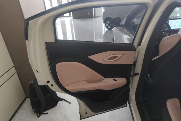 Used BYD Seagull 2023 Free Edition Left Rear Door Interior