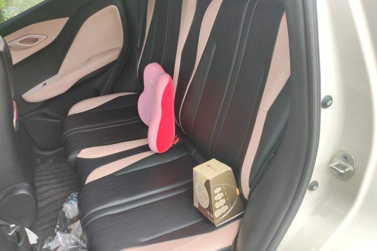 Used BYD Seagull 2023 Active Version Left Rear Seat